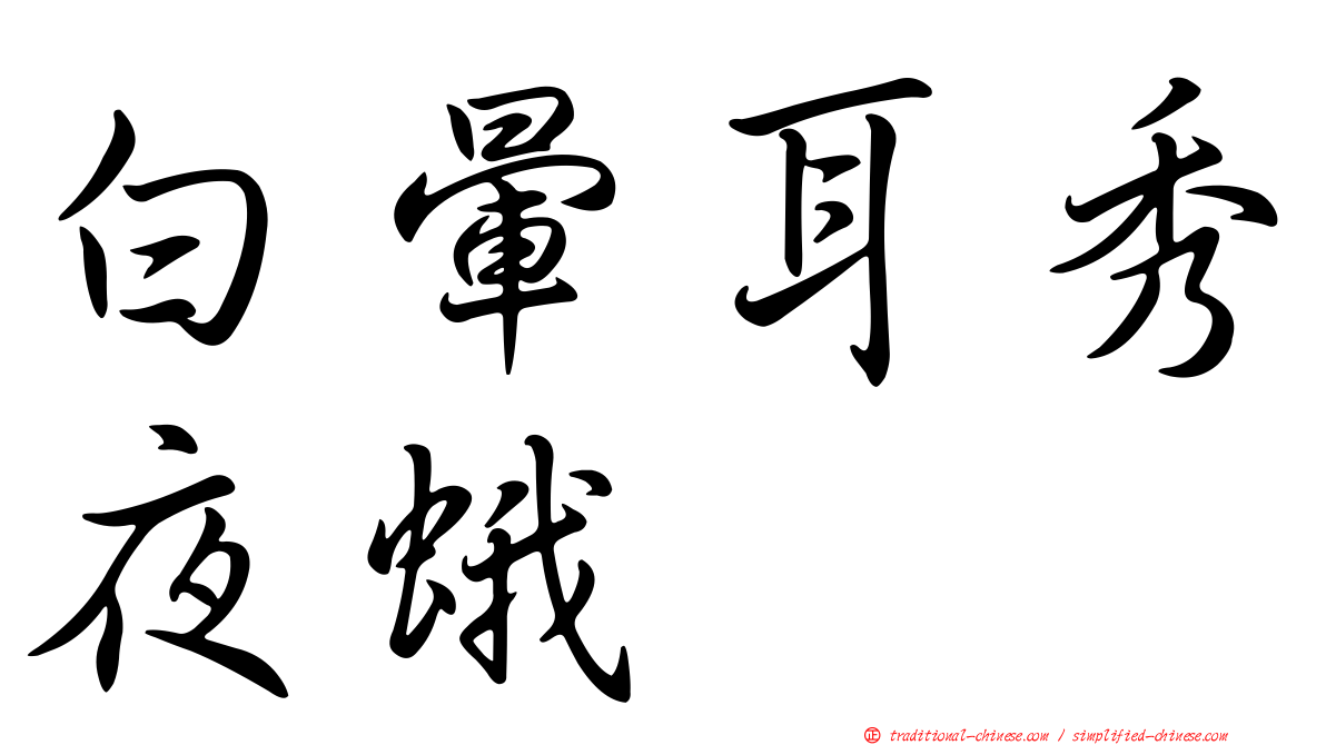 白暈耳秀夜蛾