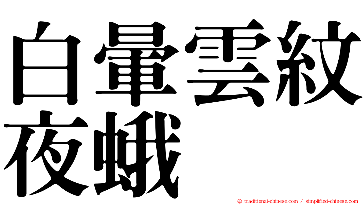 白暈雲紋夜蛾