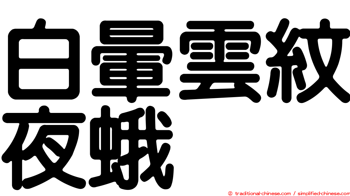 白暈雲紋夜蛾