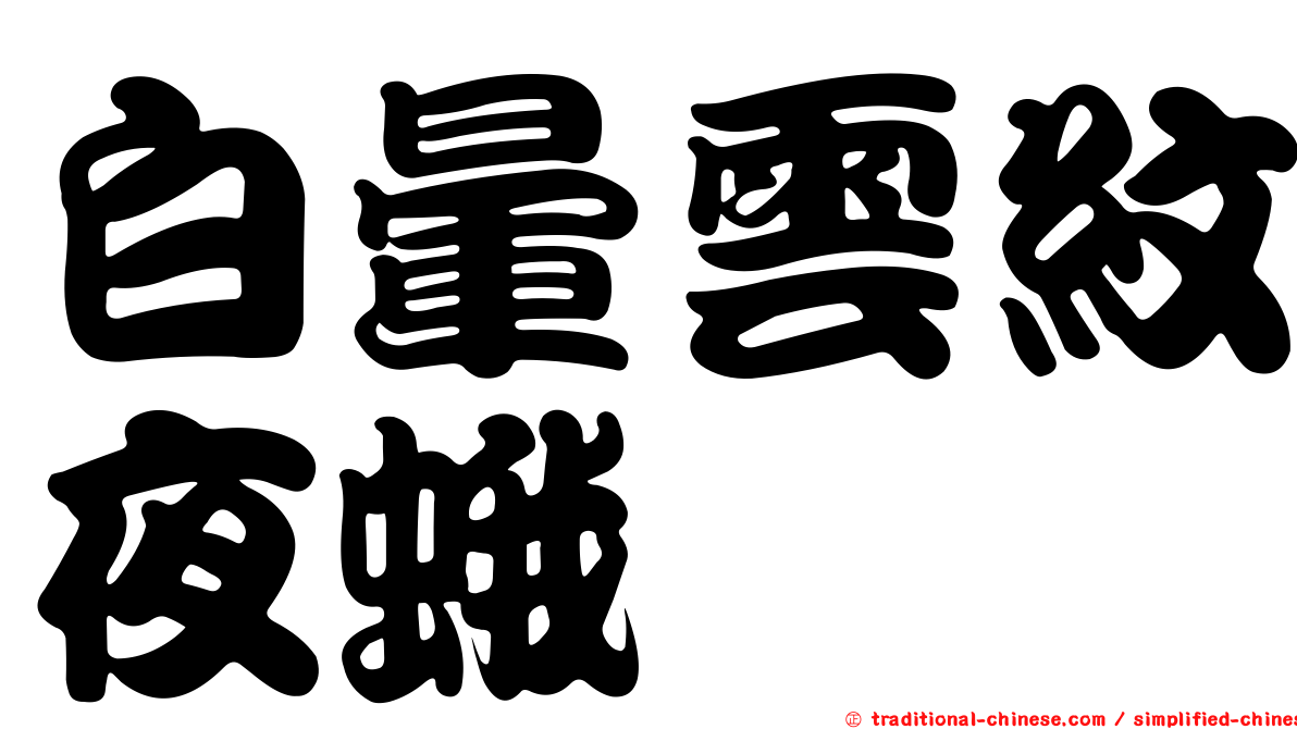 白暈雲紋夜蛾