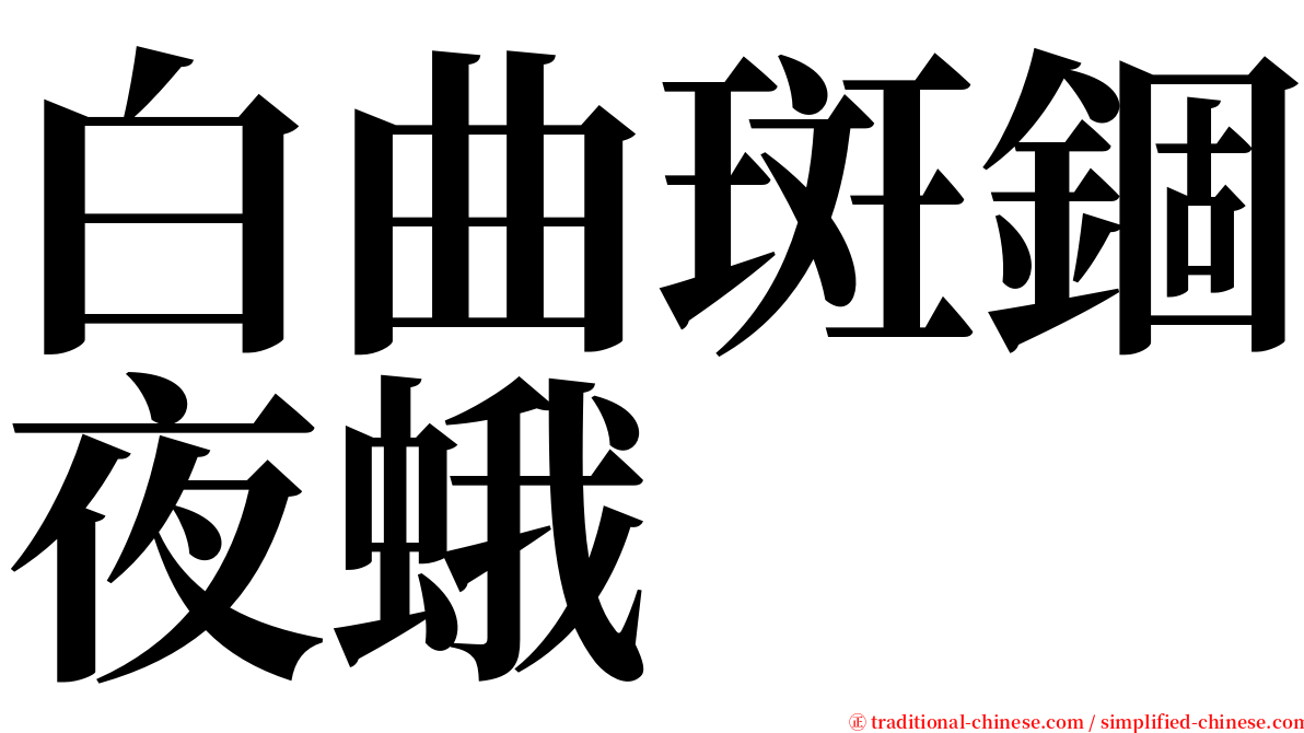 白曲斑錮夜蛾 serif font