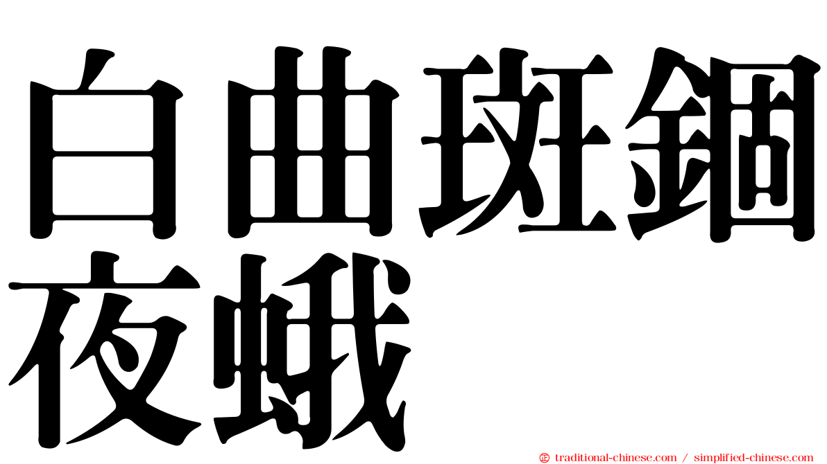 白曲斑錮夜蛾