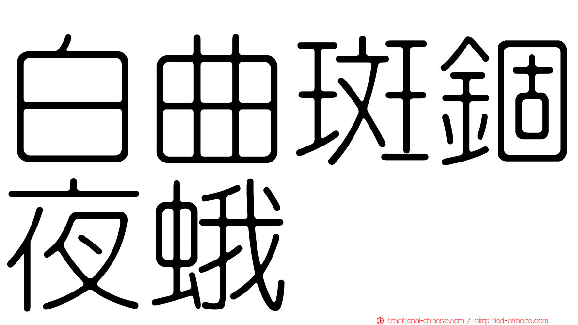 白曲斑錮夜蛾