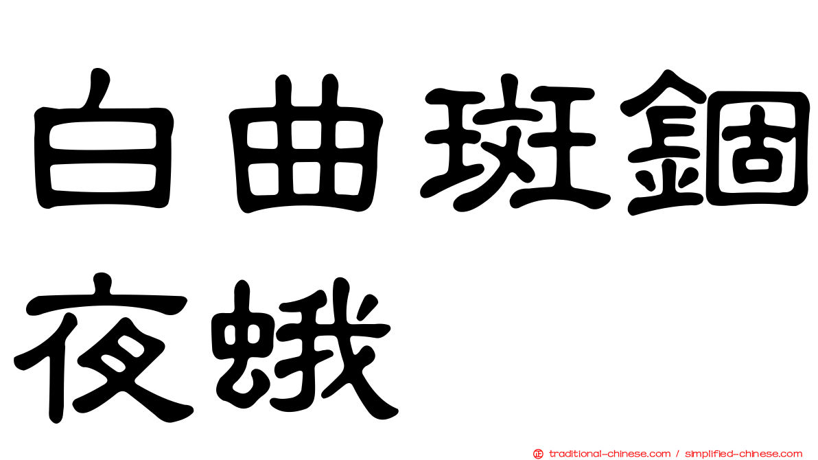 白曲斑錮夜蛾