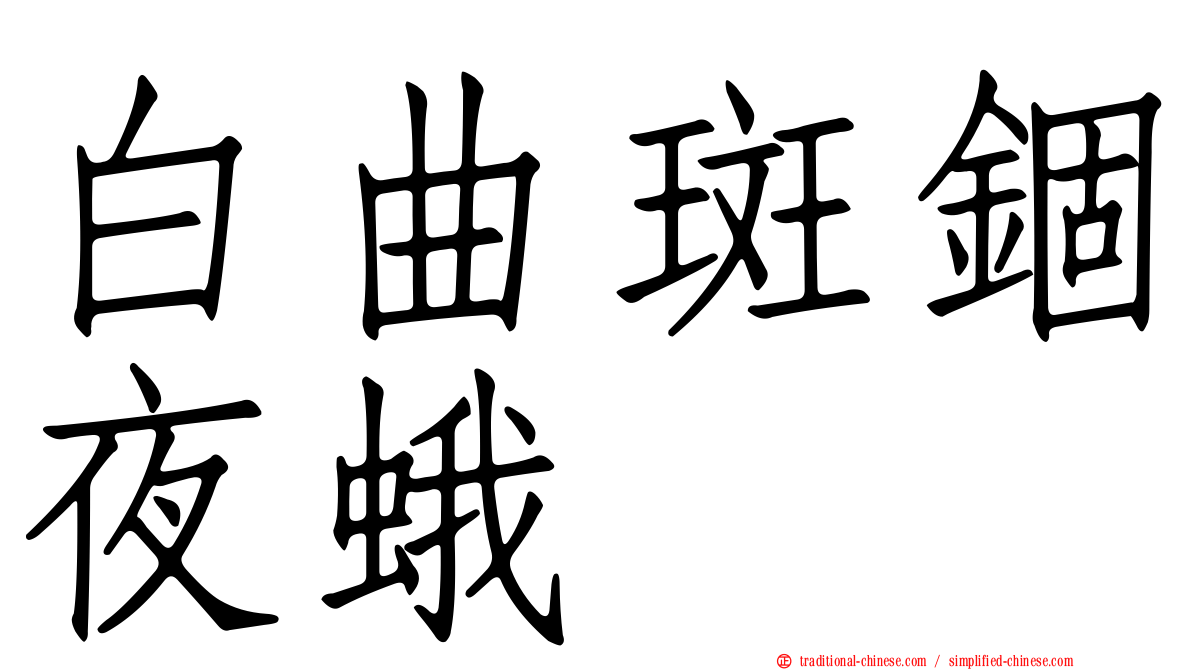 白曲斑錮夜蛾
