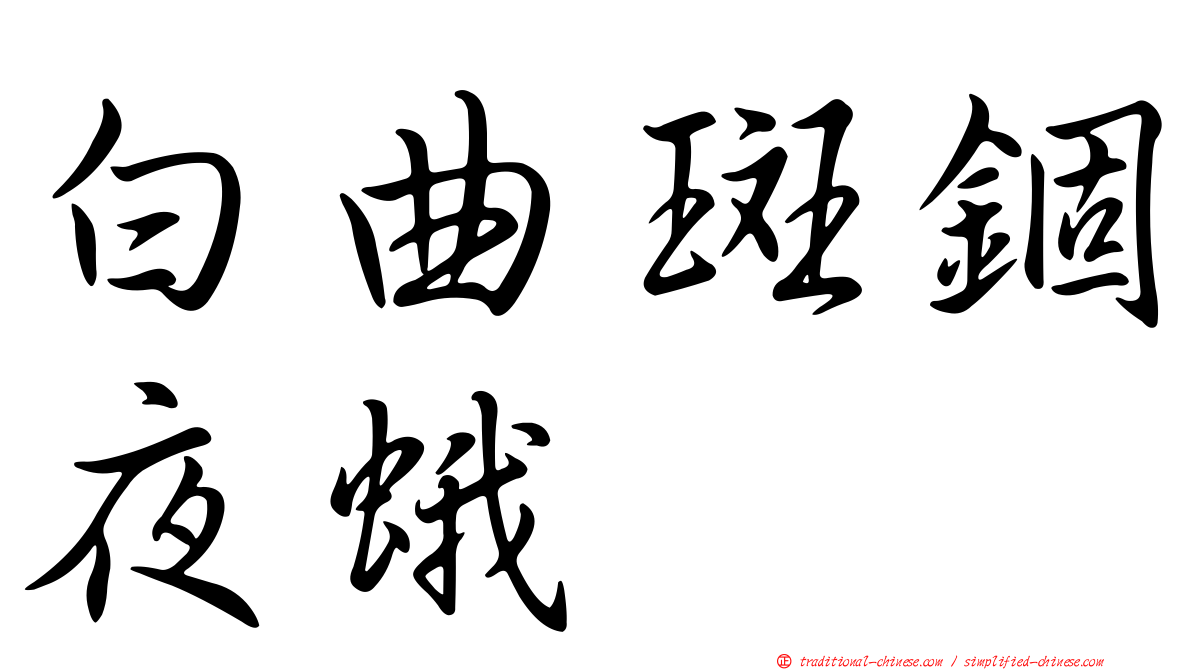 白曲斑錮夜蛾