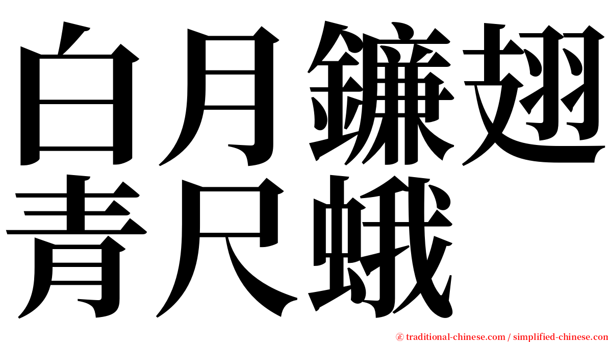 白月鐮翅青尺蛾 serif font