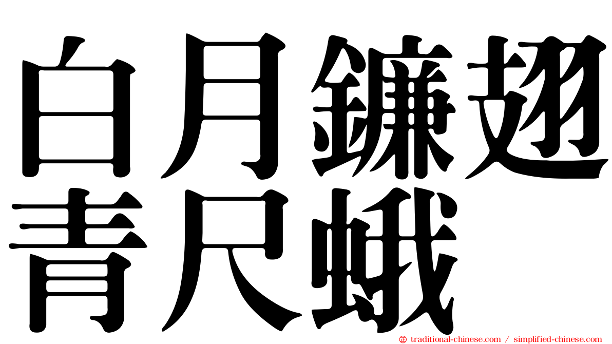 白月鐮翅青尺蛾