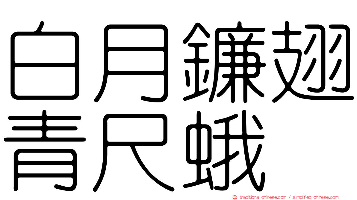 白月鐮翅青尺蛾