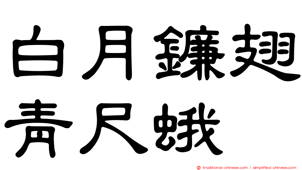 白月鐮翅青尺蛾