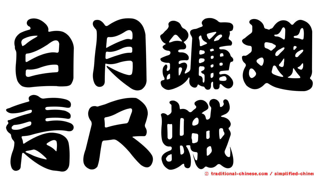白月鐮翅青尺蛾