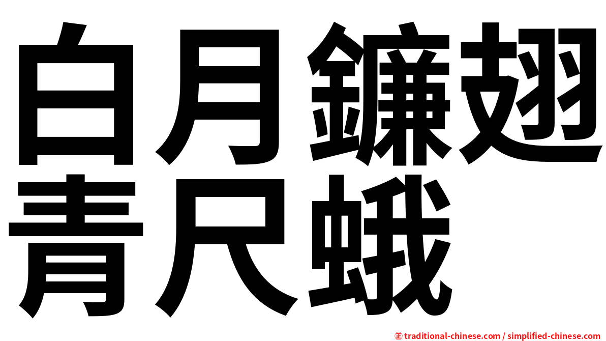 白月鐮翅青尺蛾