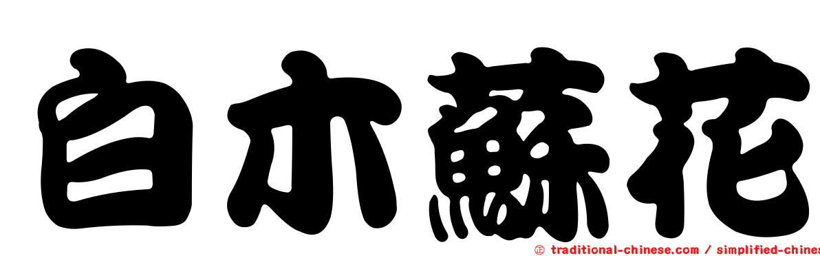 白木蘇花