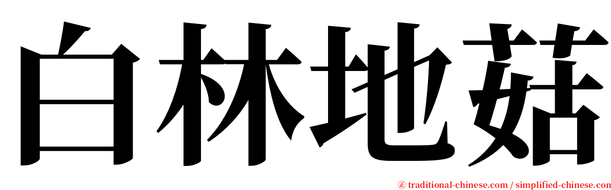 白林地菇 serif font