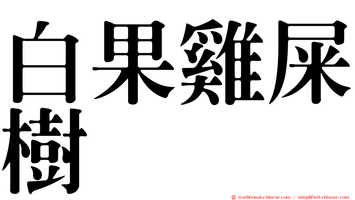 白果雞屎樹