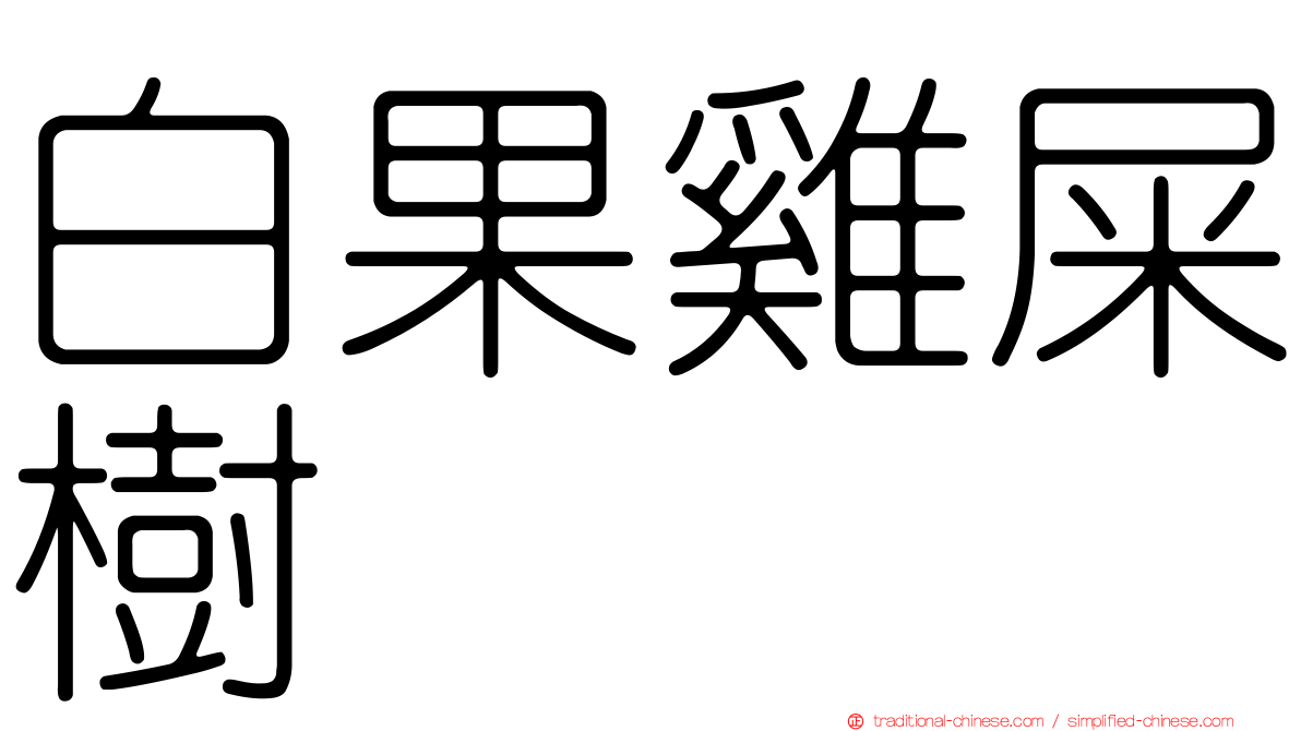 白果雞屎樹
