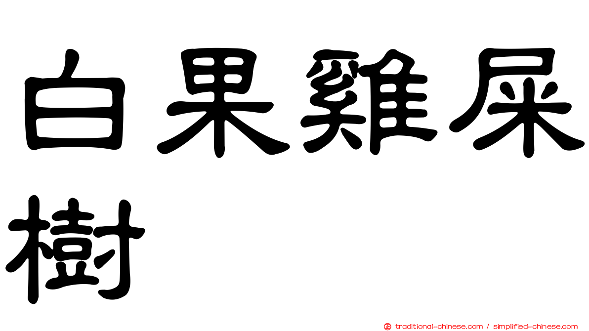 白果雞屎樹