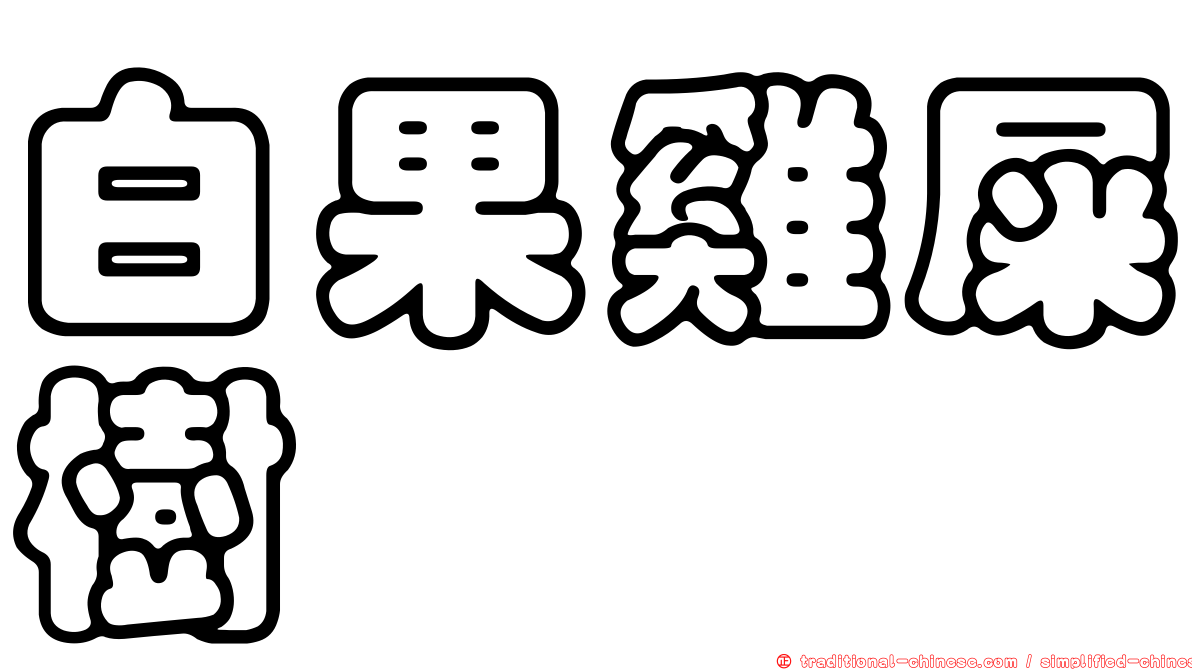 白果雞屎樹