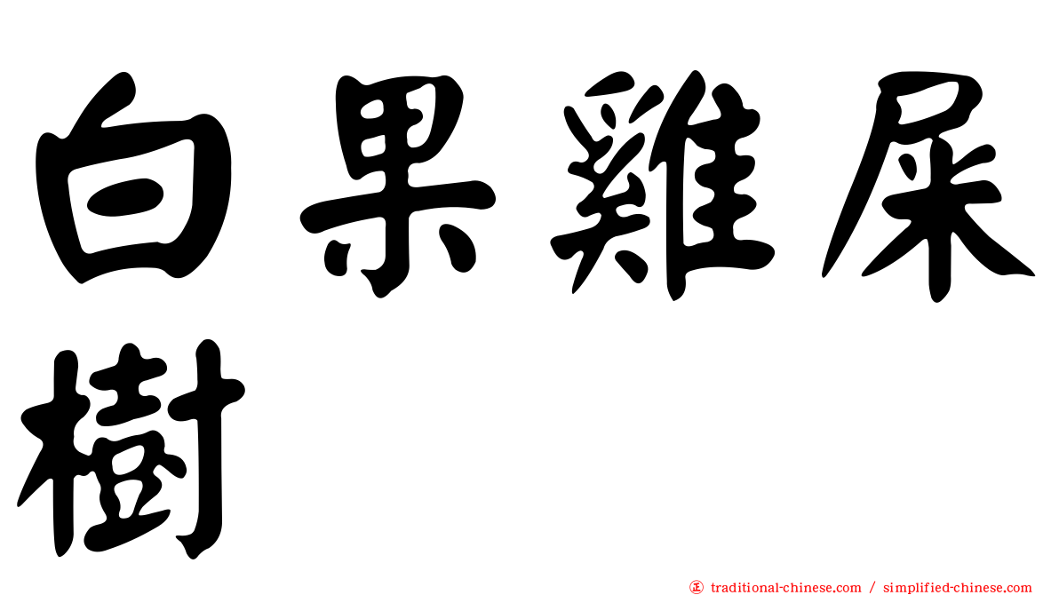 白果雞屎樹