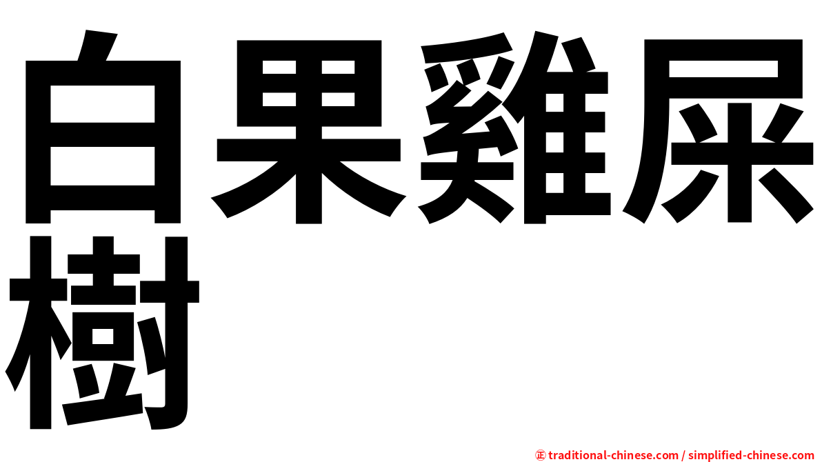 白果雞屎樹