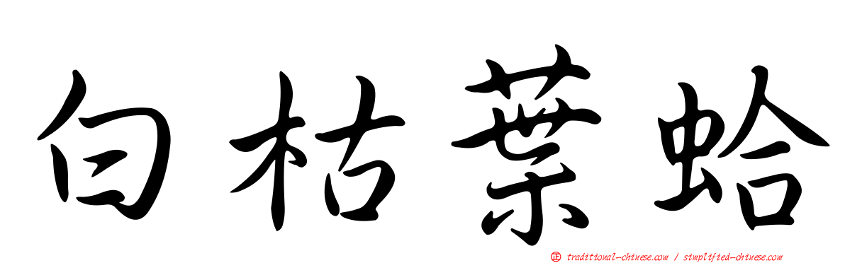 白枯葉蛤