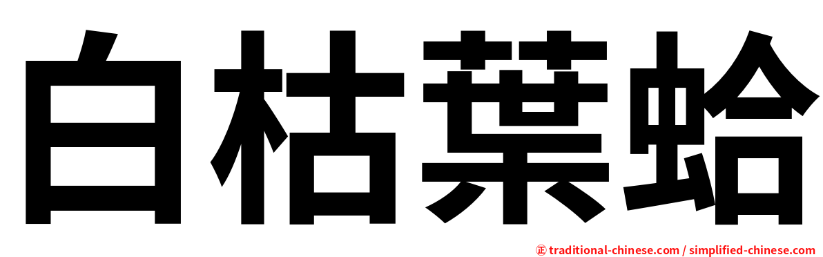 白枯葉蛤