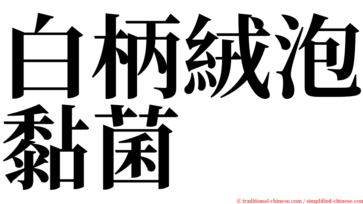 白柄絨泡黏菌 serif font