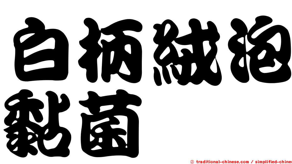 白柄絨泡黏菌