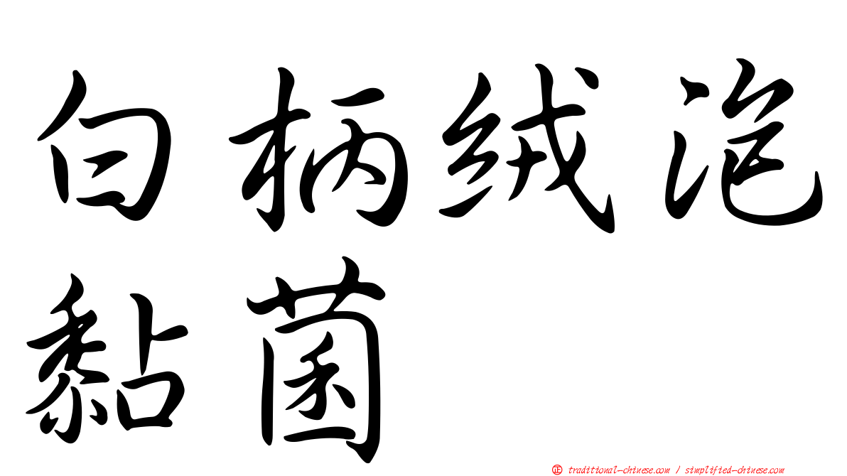 白柄絨泡黏菌