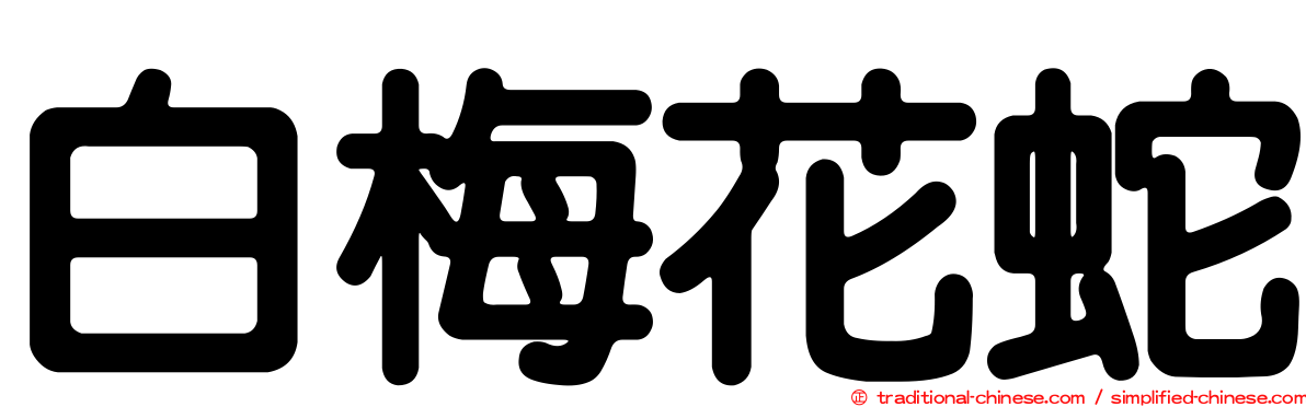 白梅花蛇