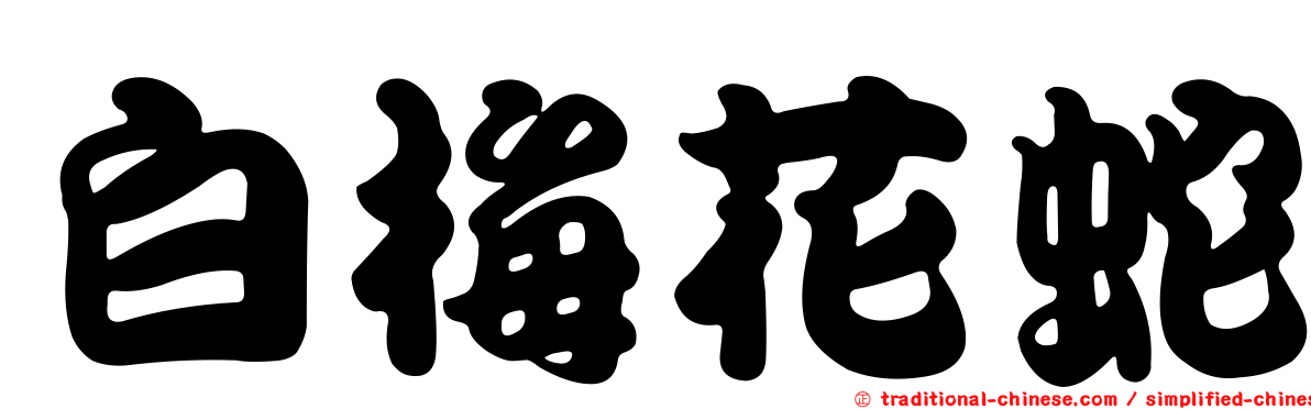白梅花蛇