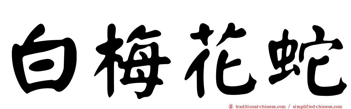 白梅花蛇