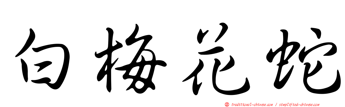 白梅花蛇