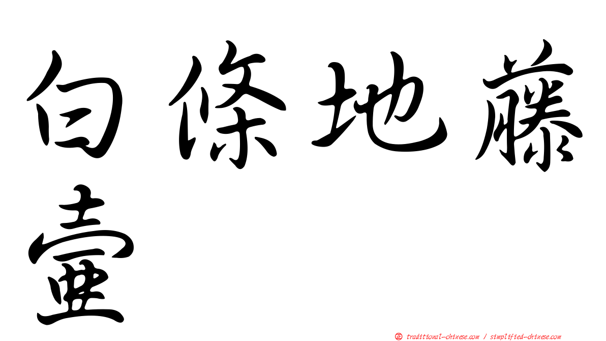 白條地藤壺