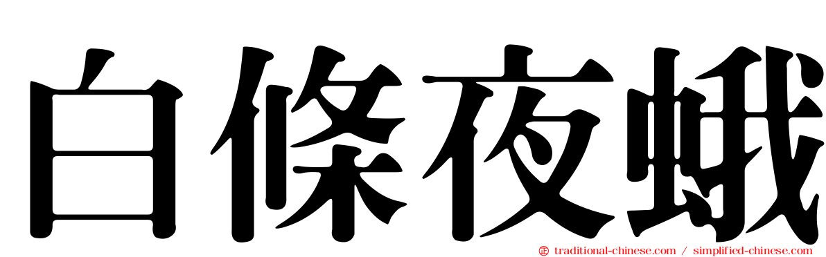 白條夜蛾