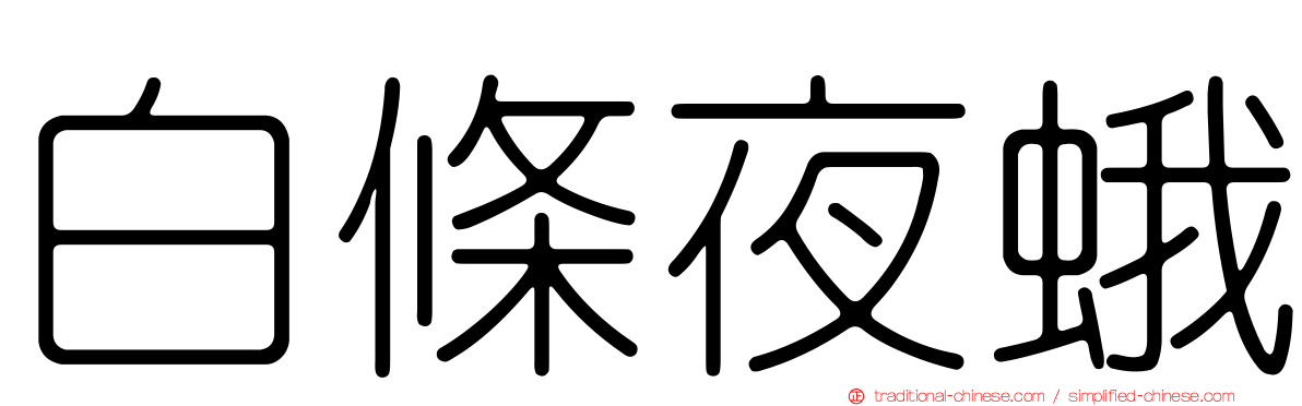 白條夜蛾