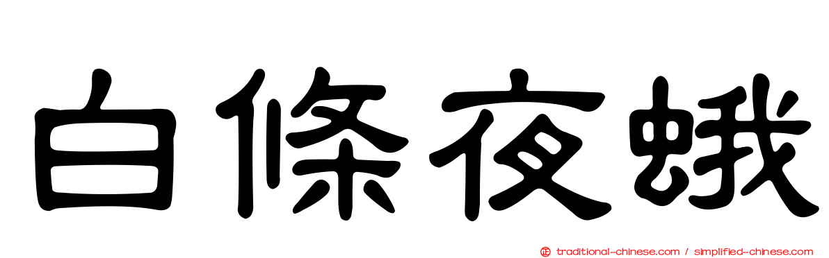 白條夜蛾