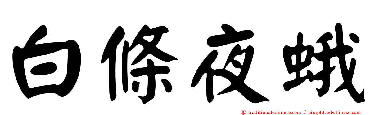 白條夜蛾