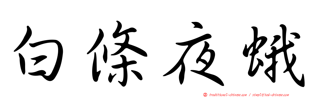 白條夜蛾