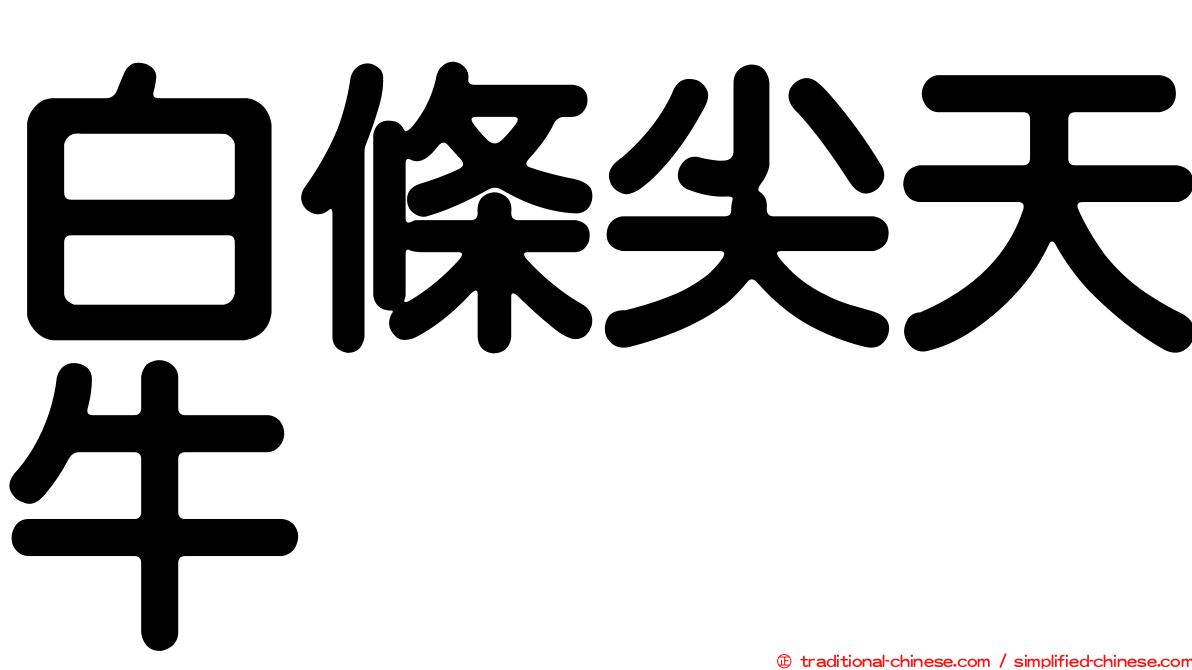 白條尖天牛