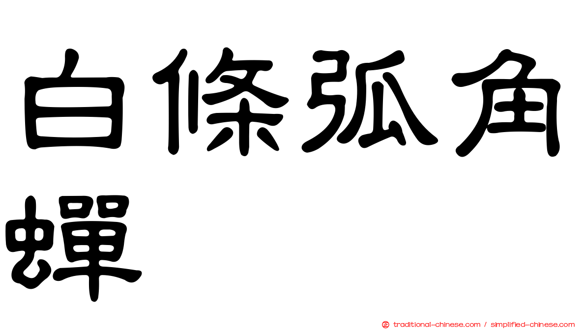 白條弧角蟬