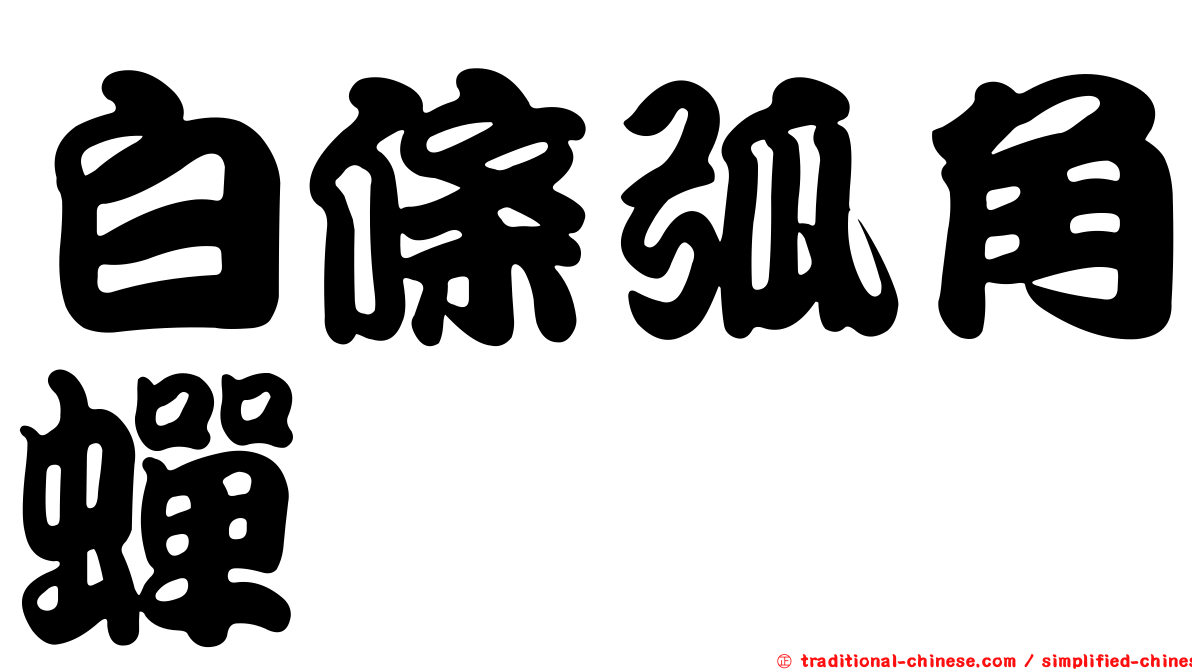 白條弧角蟬