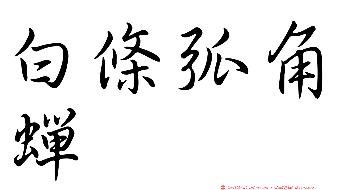 白條弧角蟬