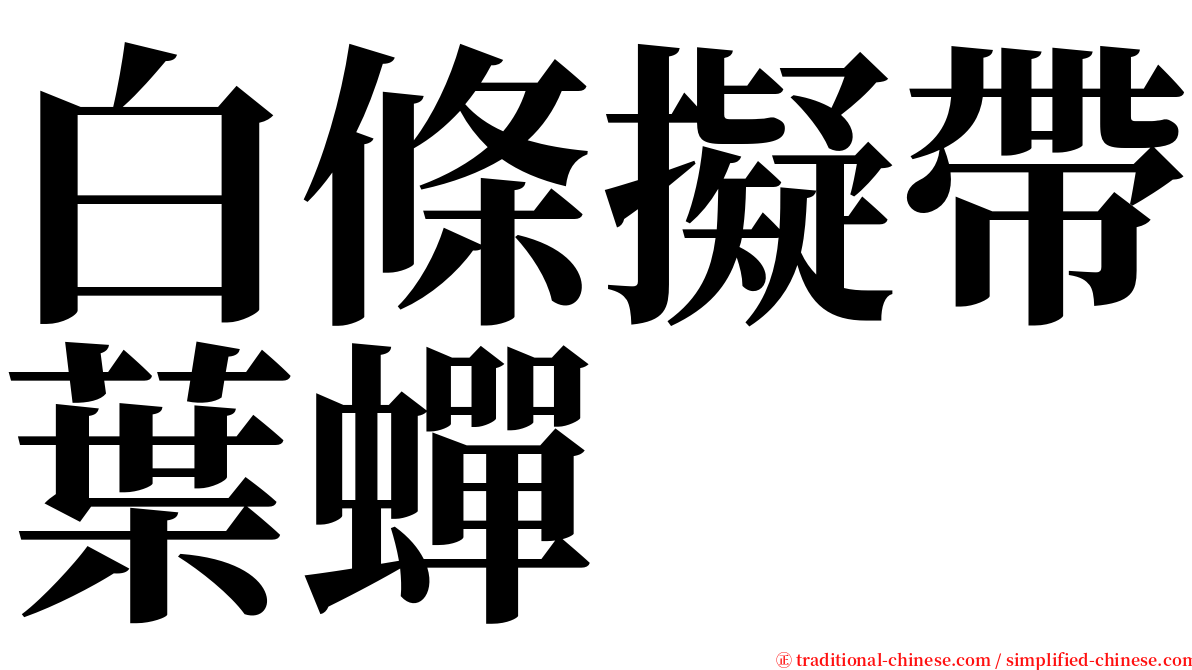 白條擬帶葉蟬 serif font