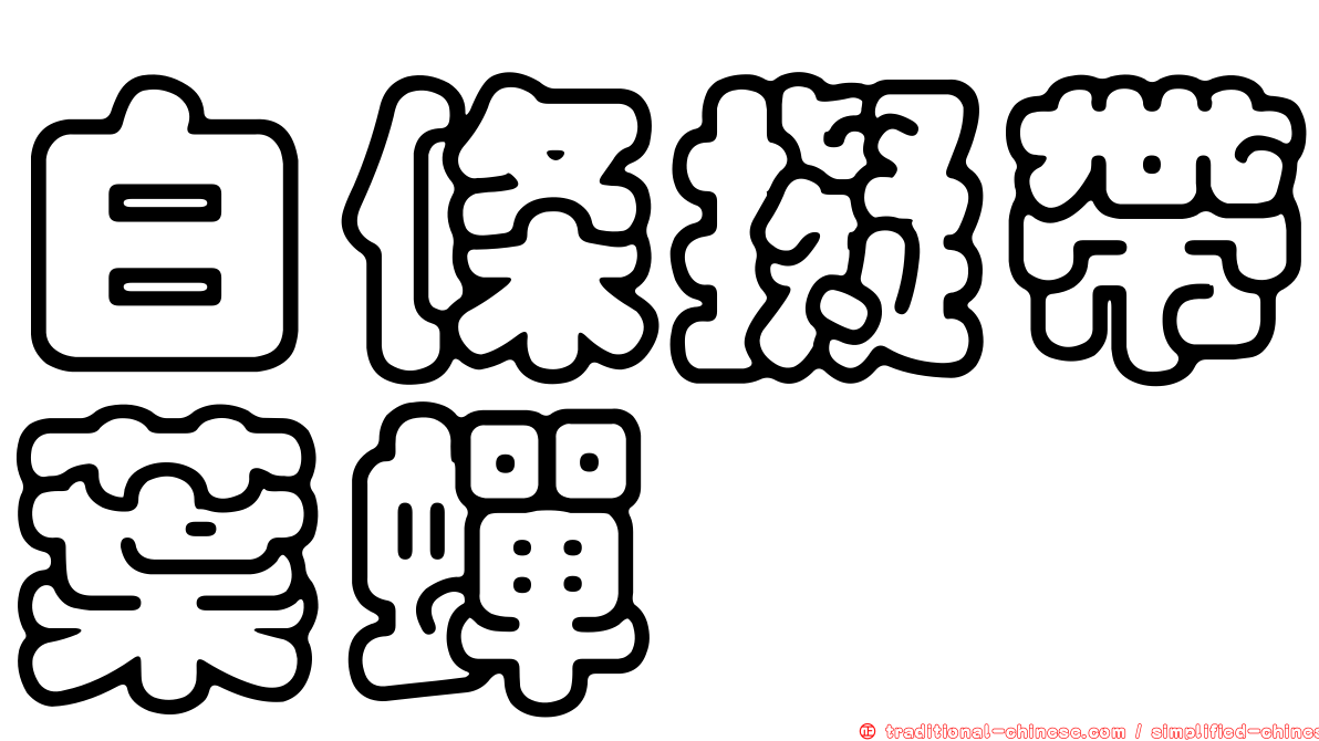 白條擬帶葉蟬
