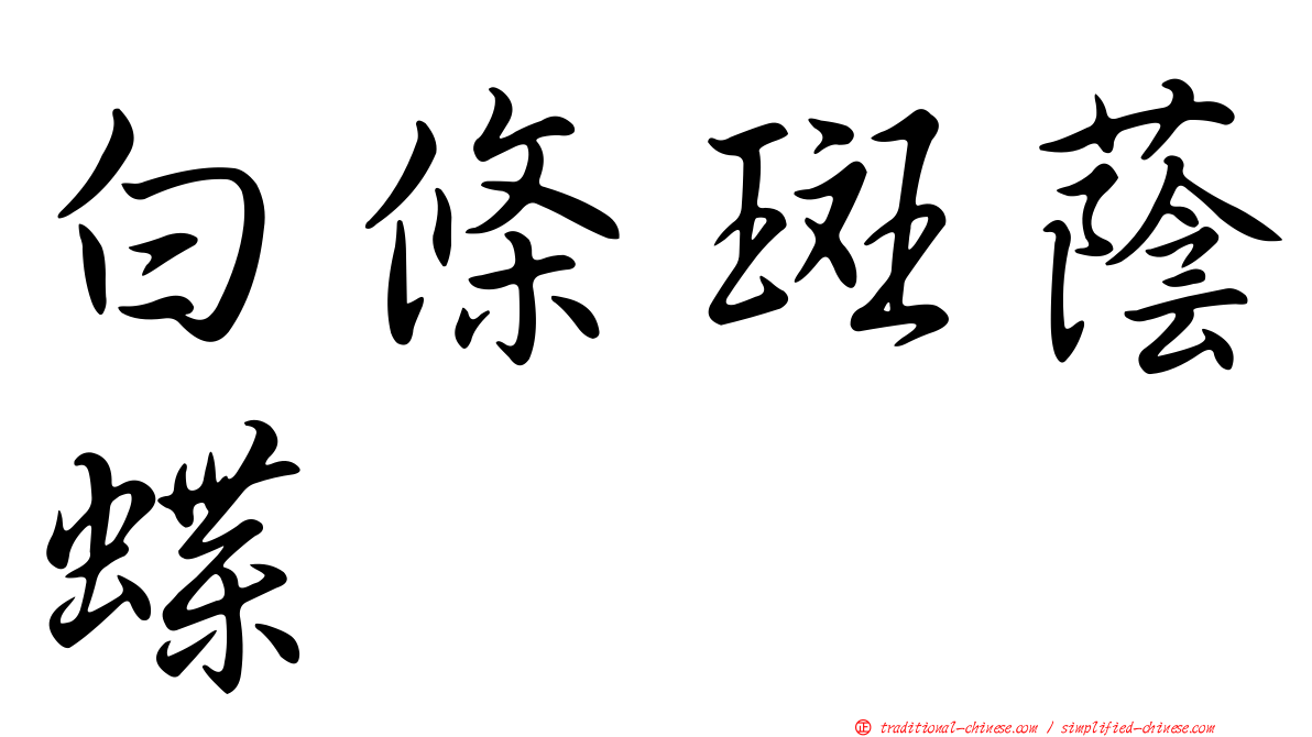 白條斑蔭蝶
