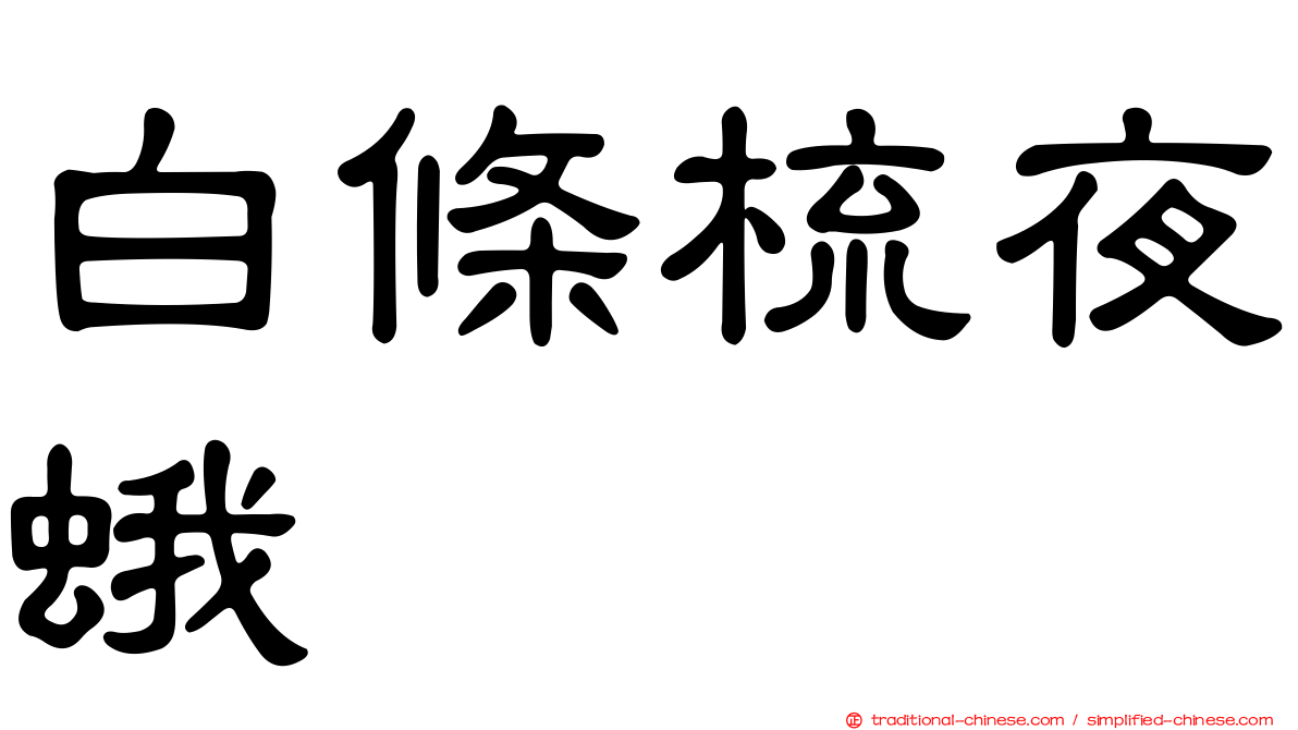 白條梳夜蛾