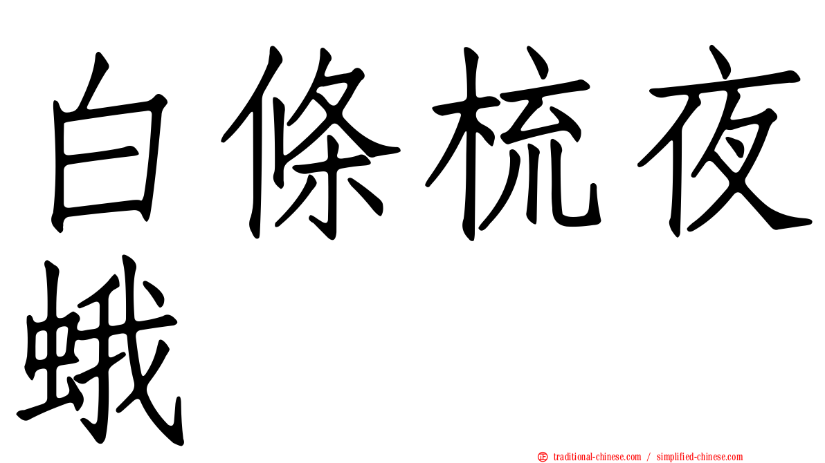 白條梳夜蛾