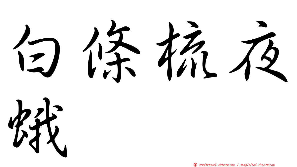 白條梳夜蛾