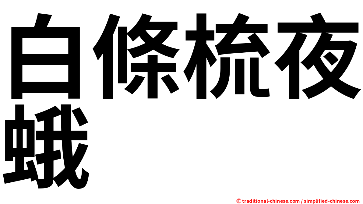 白條梳夜蛾